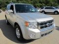 2009 Brilliant Silver Metallic Ford Escape Limited V6 4WD  photo #5