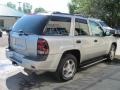Graystone Metallic - TrailBlazer LS 4x4 Photo No. 16