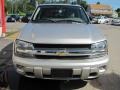 Graystone Metallic - TrailBlazer LS 4x4 Photo No. 20