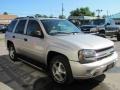 Graystone Metallic - TrailBlazer LS 4x4 Photo No. 21
