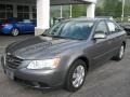 Willow Gray - Sonata GLS Photo No. 2