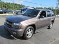 2008 Desert Brown Metallic Chevrolet TrailBlazer LT 4x4  photo #6