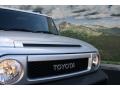 Titanium Metallic - FJ Cruiser 4WD Photo No. 25
