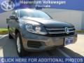Pepper Gray Metallic - Tiguan S Photo No. 1