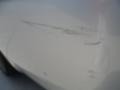 Bright Silver Metallic - Charger R/T Photo No. 25