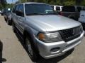 Munich Silver Metallic 2002 Mitsubishi Montero Sport LS