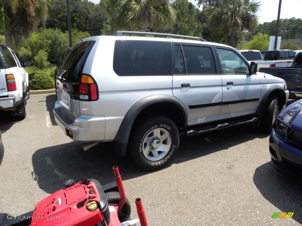 2002 Montero Sport LS - Munich Silver Metallic / Gray photo #12