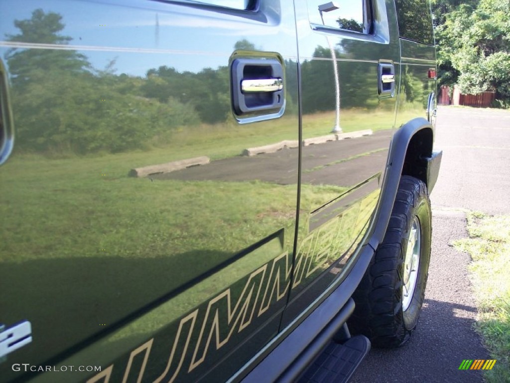 2004 H2 SUV - Sage Green Metallic / Wheat photo #28