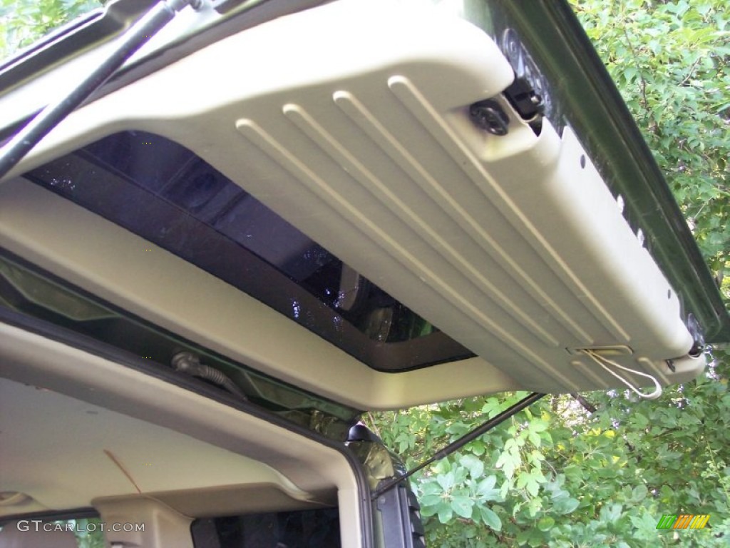 2004 H2 SUV - Sage Green Metallic / Wheat photo #49