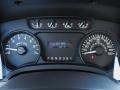 Steel Gray Gauges Photo for 2011 Ford F150 #53065156