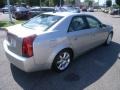 Light Platinum - CTS Sedan Photo No. 5