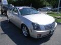 Light Platinum - CTS Sedan Photo No. 7