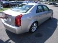 Light Platinum - CTS Sedan Photo No. 10