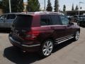 2010 Barolo Red Metallic Mercedes-Benz GLK 350 4Matic  photo #8