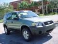 2006 Titanium Green Metallic Ford Escape XLS  photo #1