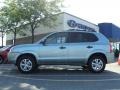 Alpine Frost - Tucson GLS Photo No. 6