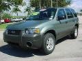 2006 Titanium Green Metallic Ford Escape XLS  photo #8