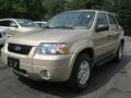 Dune Pearl Metallic 2007 Ford Escape XLT V6 4WD