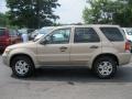 2007 Dune Pearl Metallic Ford Escape XLT V6 4WD  photo #10