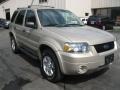 2007 Dune Pearl Metallic Ford Escape XLT V6 4WD  photo #14