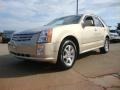 Gold Mist - SRX V6 Photo No. 7