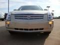 Gold Mist - SRX V6 Photo No. 8