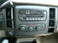 Dark Slate Gray Audio System Photo for 2001 Dodge Dakota #53078893