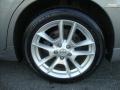 Precision Gray Metallic - Maxima 3.5 SV Photo No. 33