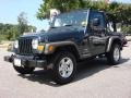 2005 Deep Beryl Green Pearl Jeep Wrangler X 4x4  photo #8