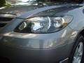 Titanium Gray Metallic - MPV LX Photo No. 6