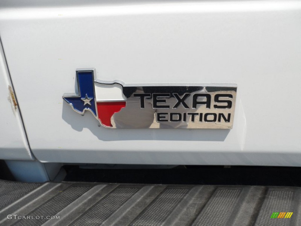 2011 F150 Texas Edition SuperCrew 4x4 - Oxford White / Pale Adobe photo #20