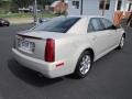 Gold Mist - STS 4 V6 AWD Photo No. 7