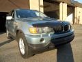 2002 Gray Green Metallic BMW X5 3.0i  photo #2