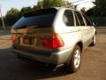 2002 Gray Green Metallic BMW X5 3.0i  photo #3