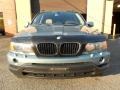 2002 Gray Green Metallic BMW X5 3.0i  photo #18