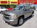 2007 Graystone Metallic Chevrolet Silverado 1500 LS Regular Cab  photo #1