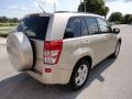  2007 Grand Vitara Luxury Clear Beige Metallic