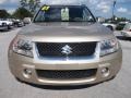 Clear Beige Metallic 2007 Suzuki Grand Vitara Luxury Exterior