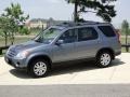 Pewter Pearl - CR-V SE 4WD Photo No. 9