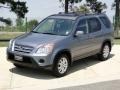 Pewter Pearl - CR-V SE 4WD Photo No. 10