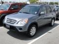 Pewter Pearl - CR-V SE 4WD Photo No. 38