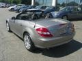 Pewter Metallic - SLK 350 Roadster Photo No. 4