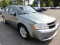 Silver Steel Metallic - Avenger R/T Photo No. 5