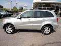 Titanium Metallic - RAV4 4WD Photo No. 2