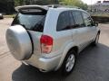 Titanium Metallic - RAV4 4WD Photo No. 5