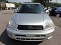 Titanium Metallic - RAV4 4WD Photo No. 8