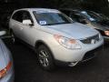 2007 Liquid Silver Hyundai Veracruz GLS  photo #1