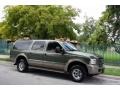 Estate Green Metallic - Excursion Eddie Bauer 4x4 Photo No. 12