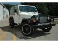 Stone White 2002 Jeep Wrangler X 4x4