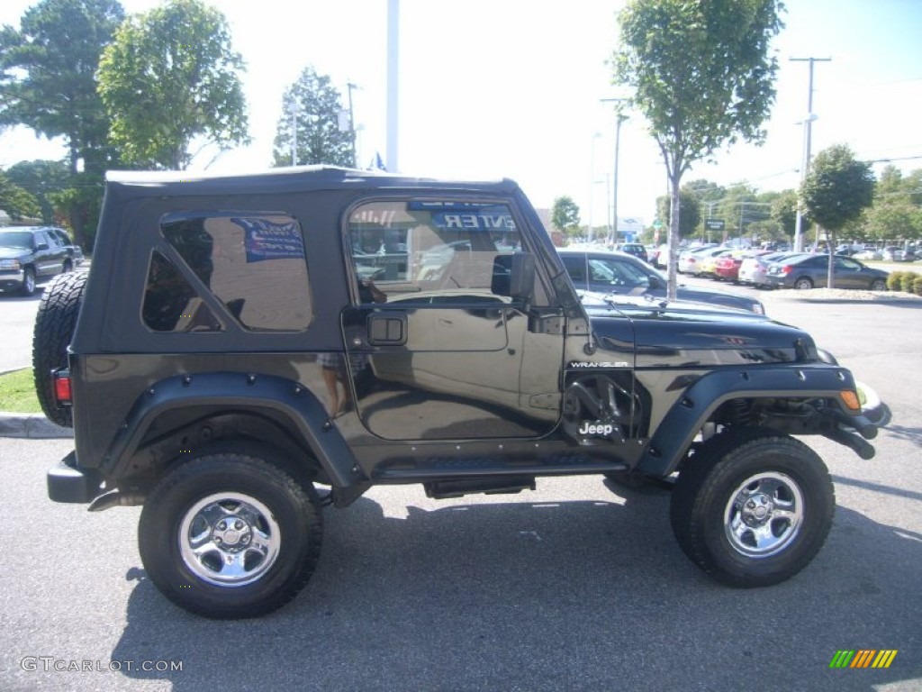 2002 Wrangler X 4x4 - Black / Camel Beige photo #6